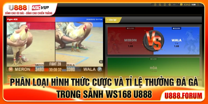 Phân loại hình thức cược và tỉ lệ thưởng đá gà trong sảnh Ws168 U888